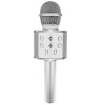 Izoxis Karaoke Microphone 22188 - Silver