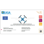 Δίπλωμα Ειδικής Κατηγορίας (STS)